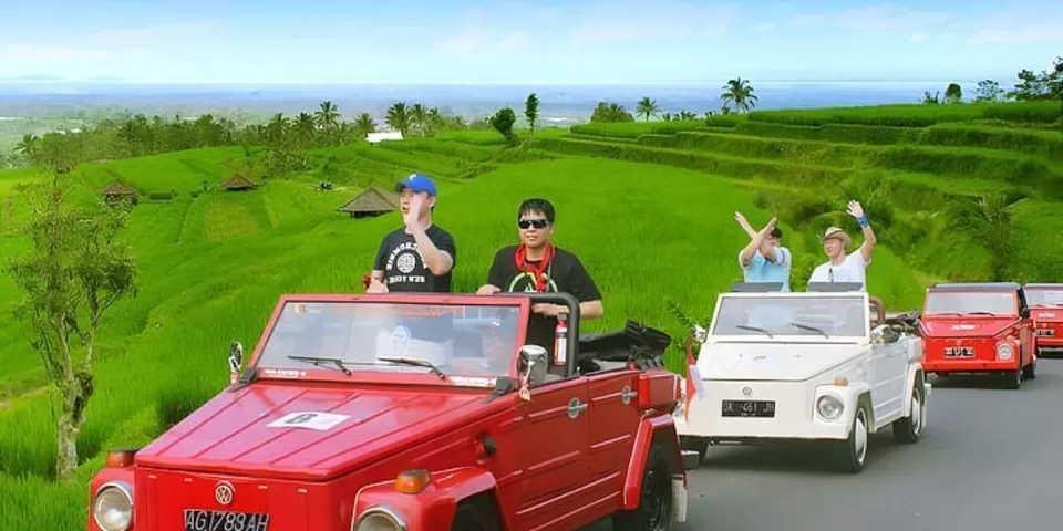 Photo of 5 Ultimate Bali Road Trips for Every Traveler by TravelJunkies ✔