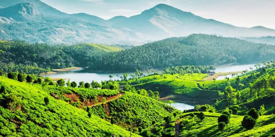 Photo of Three Days in Munnar: A Scenic Adventure Through Kerala’s Green Paradise by TravelJunkies ✔