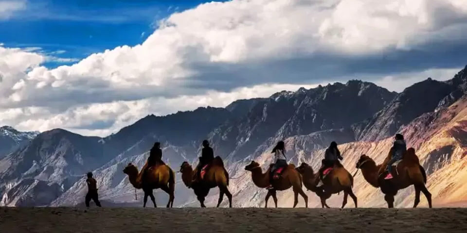 Photo of Exploring Nubra Valley: The Ultimate List of Things to See and Do by TravelJunkies ✔