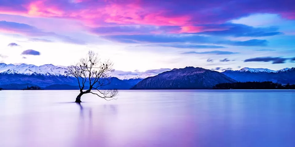 Photo of Photoshoot Destinations in New Zealand for Capturing Unforgettable Moments by TravelJunkies ✔