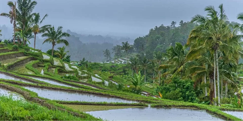 Photo of Best Places in the World to Experience Monsoon! Embrace the Magic of Rain by TravelJunkies ✔