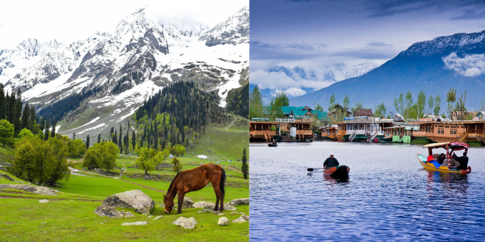 Photo of Kashmir in 40K for 5 Days: Experience Paradise on Earth with a Budget Plan by TravelJunkies ✔