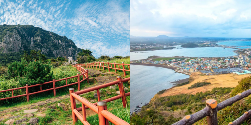 Photo of Pack Your Bags for South Korea! Best Places to Visit in November by TravelJunkies ✔