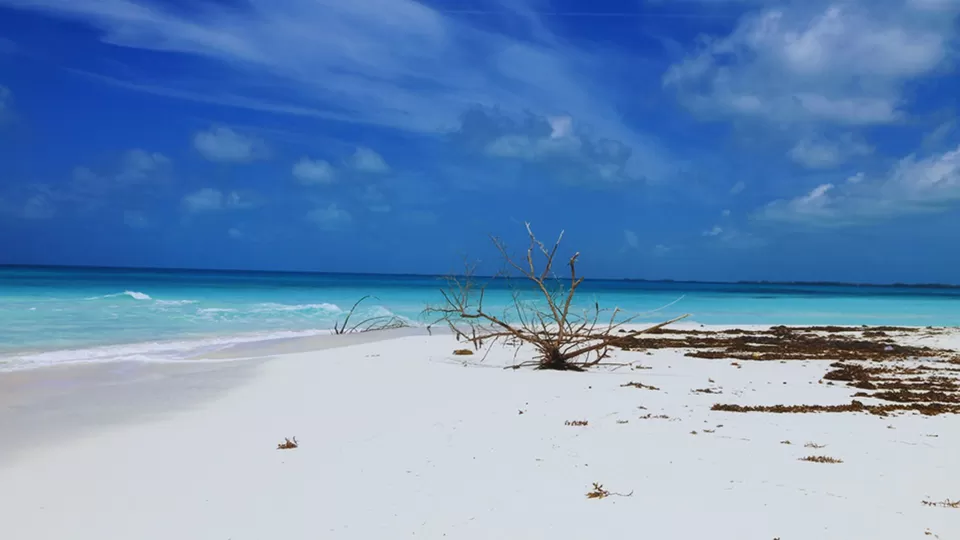 Photo of Love Beaches! Visit These 10 Best Beaches Across The World by TravelJunkies ✔