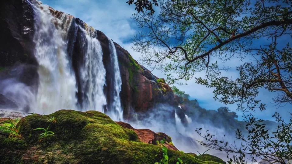 Photo of Love Greenery? Visit These 9 Amazing Places In Kerala! by TravelJunkies ✔