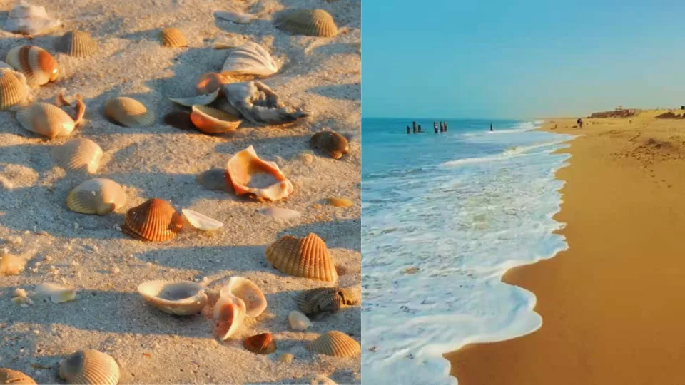 Photo of 10 Hidden Gems In Tonga For The Bold Travelers by TravelJunkies ✔