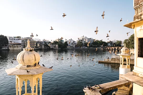 Photo of Discover the Majesty of Rajasthan A Journey Through the Land of Kings by Salamat Shah