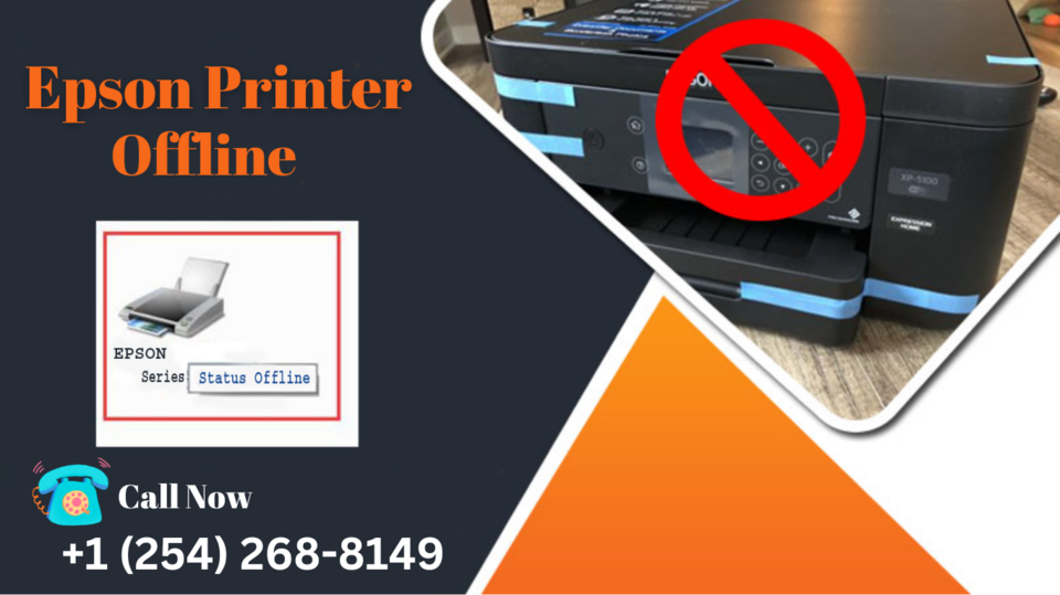 Photo of How can I get my Epson printer back online? by nisha kumari