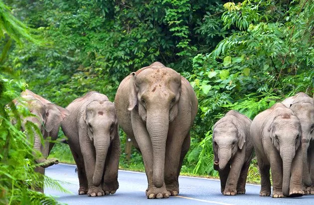Photo of Beyond Bangkok : 5 Unforgettable Day Trips That Make Your Trip Unique by Jahnavi Gopinath
