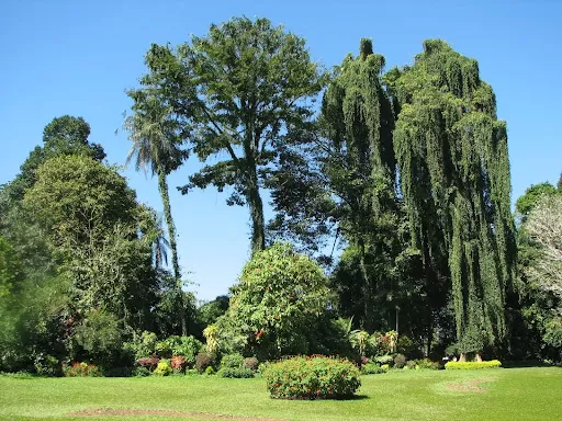 Photo of 5 Best Things to Do on Your Trip to Kandy by Rooban