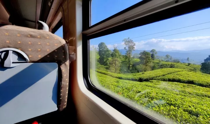 Photo of 30K, 7 Days & 1 Travel Experience of a Lifetime: Here's the Only Sri Lanka Itinerary You Need! by James David