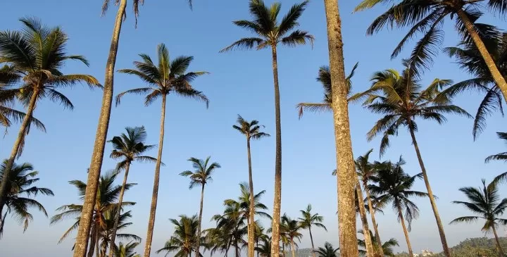 Photo of 30K, 7 Days & 1 Travel Experience of a Lifetime: Here's the Only Sri Lanka Itinerary You Need! by James David