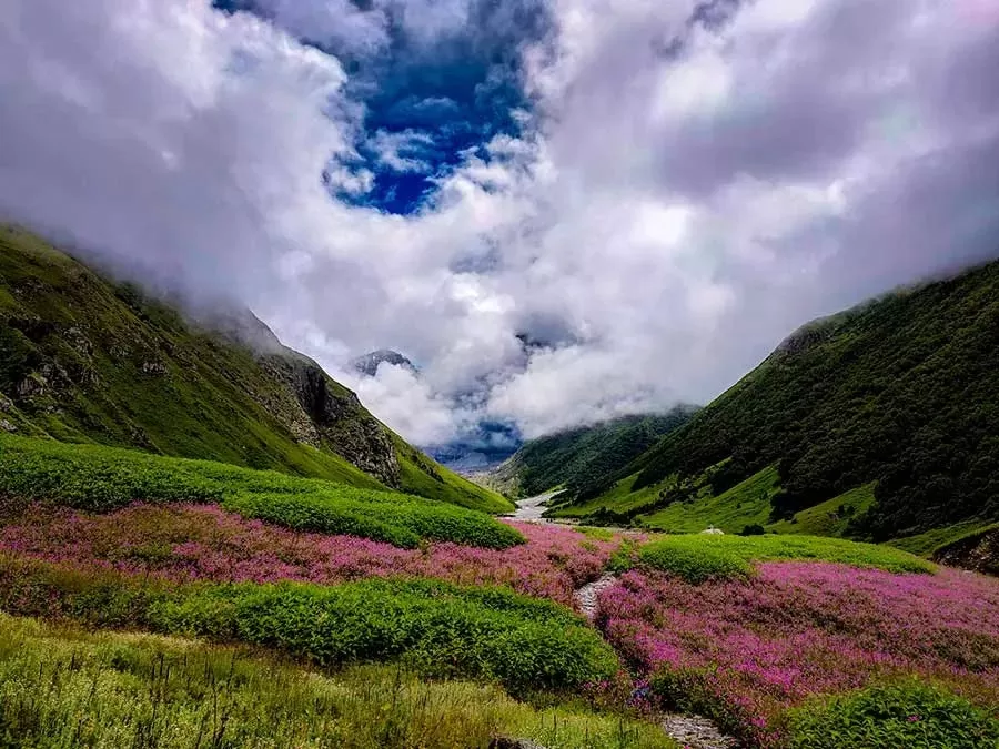 Photo of Best Monsoon Treks in the Himalayas by Khushi