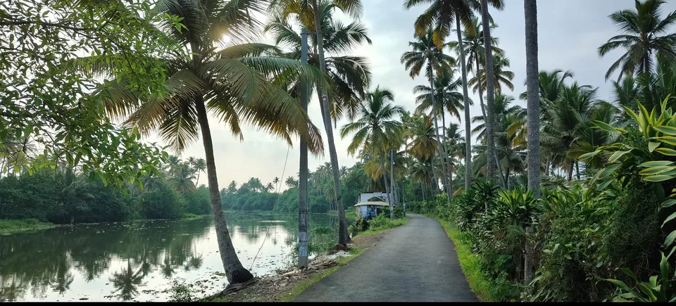 Photo of From Rum to Responsibility – The Kumarakom Detox by SUJITH NB