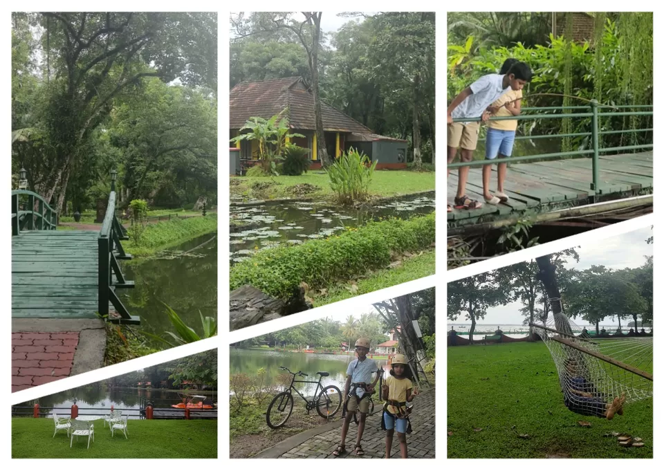 Photo of From Rum to Responsibility – The Kumarakom Detox by SUJITH NB