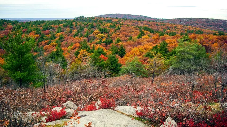 Photo of 🧳 A Perfect Day Trip in Canton, MA: 5 Must-Visit Places Just Outside Boston by Jackson M