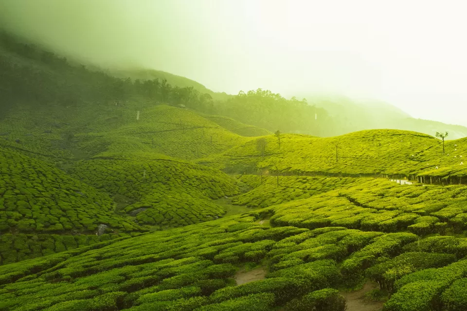 Photo of Kerala: Where the Rain Fell and So Did My Worries by Ayra Sharma