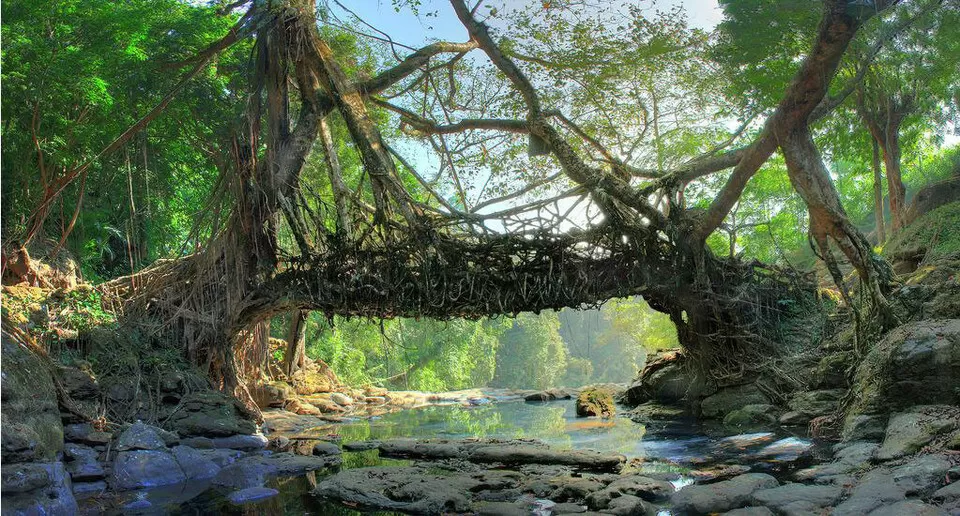 Photo of 10 Breathtaking Places to Visit in Northeast India You’ve Probably Never Heard Of by Ratan Kumar