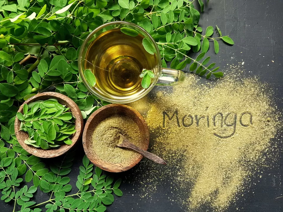 Photo of Moringa Tea: A Natural Elixir for Health and Wellness by Moringa Ilai
