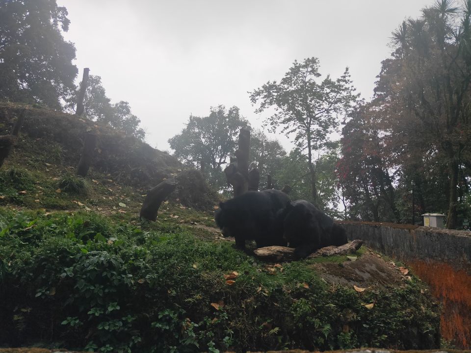 Photo of Sikkim - A Land Of Mystic Beauty !! by Shanky Kalra