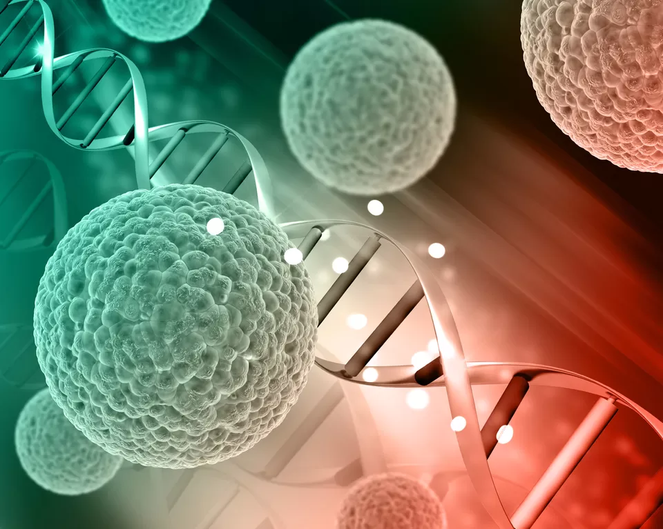 Photo of Polymerase Chain Reaction (PCR): The Cornerstone of Modern Molecular Biology by Xellera Therapeutics