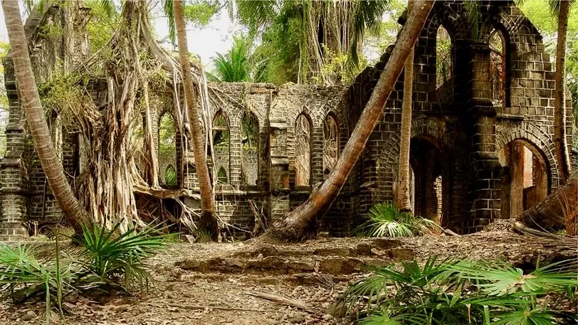 Photo of 🌴Andaman Escapade in Aesthetic Frames: Beaches, Bunkers & Bliss 🌊 by The Ankita Edit