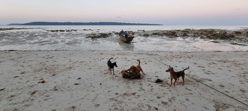 Photo of A detailed guide on trip to Havelock Island / Swaraj Dweep (Andaman & Nicobar Islands) by Dr. Ruchir Rustagi
