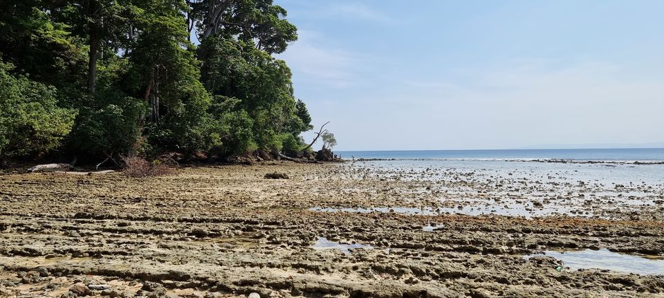 Photo of A detailed guide on the where, when, how of Neil Island / Shaheed Dweep (Andaman & Nicobar Islands) by Dr. Ruchir Rustagi