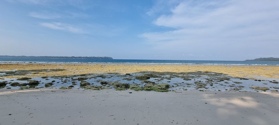 Photo of A detailed guide on the where, when, how of Neil Island / Shaheed Dweep (Andaman & Nicobar Islands) by Dr. Ruchir Rustagi