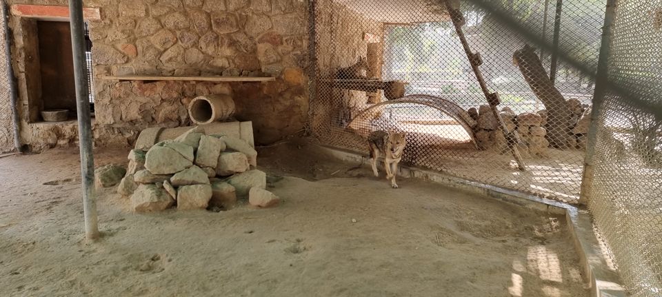 Photo of A guide to Delhi Zoological Park / Delhi Zoo and snapshot of the awaited experiences by Dr. Ruchir Rustagi