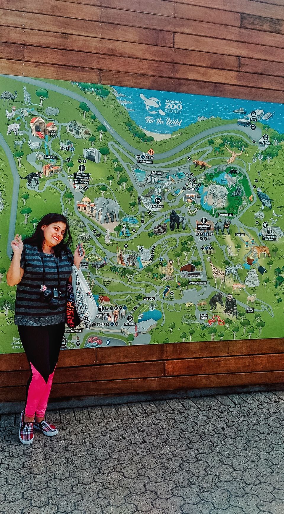 Photo of The Ultimate Guide of Taronga Zoo, Sydney – Way To Spend A Day by Pamela Mukherjee