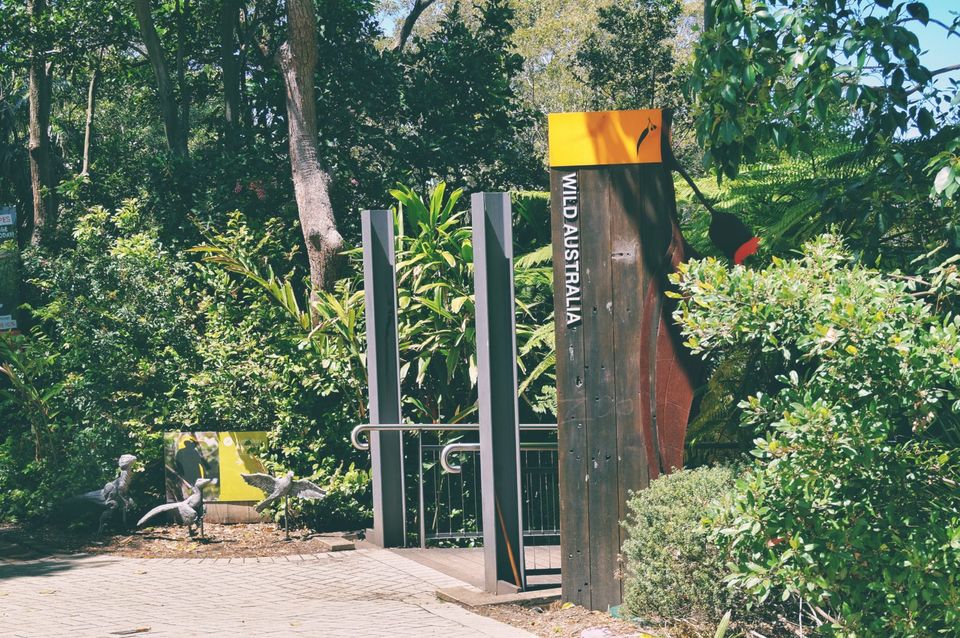Photo of The Ultimate Guide of Taronga Zoo, Sydney – Way To Spend A Day by Pamela Mukherjee
