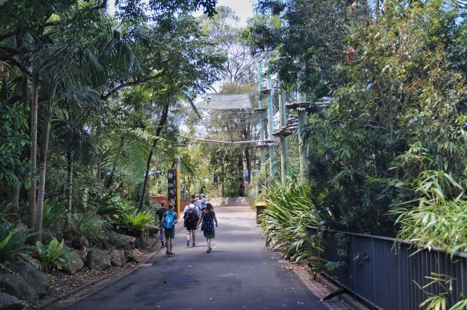 Photo of The Ultimate Guide of Taronga Zoo, Sydney – Way To Spend A Day by Pamela Mukherjee