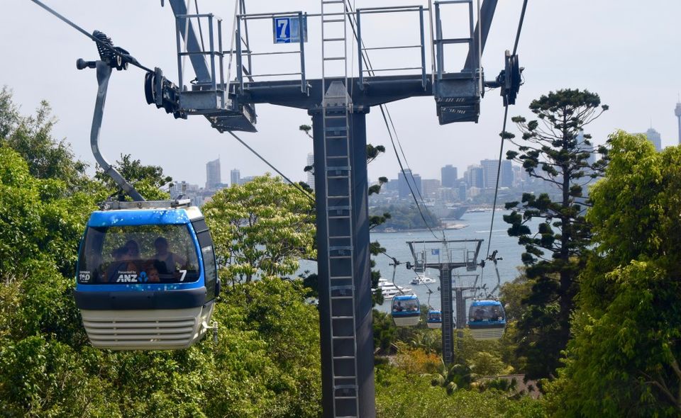 Photo of The Ultimate Guide of Taronga Zoo, Sydney – Way To Spend A Day by Pamela Mukherjee
