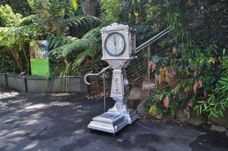 Photo of The Ultimate Guide of Taronga Zoo, Sydney – Way To Spend A Day by Pamela Mukherjee