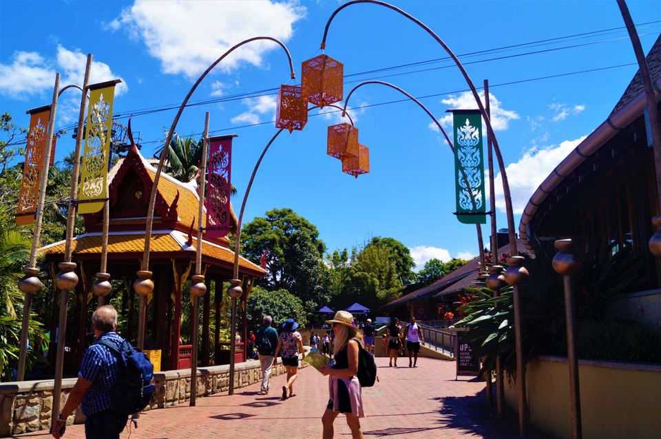Photo of The Ultimate Guide of Taronga Zoo, Sydney – Way To Spend A Day by Pamela Mukherjee