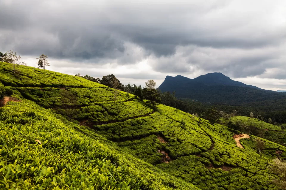 Photo of NUWARA ELIYA, SRILANKA - Things to do at Little England by Pamela Mukherjee