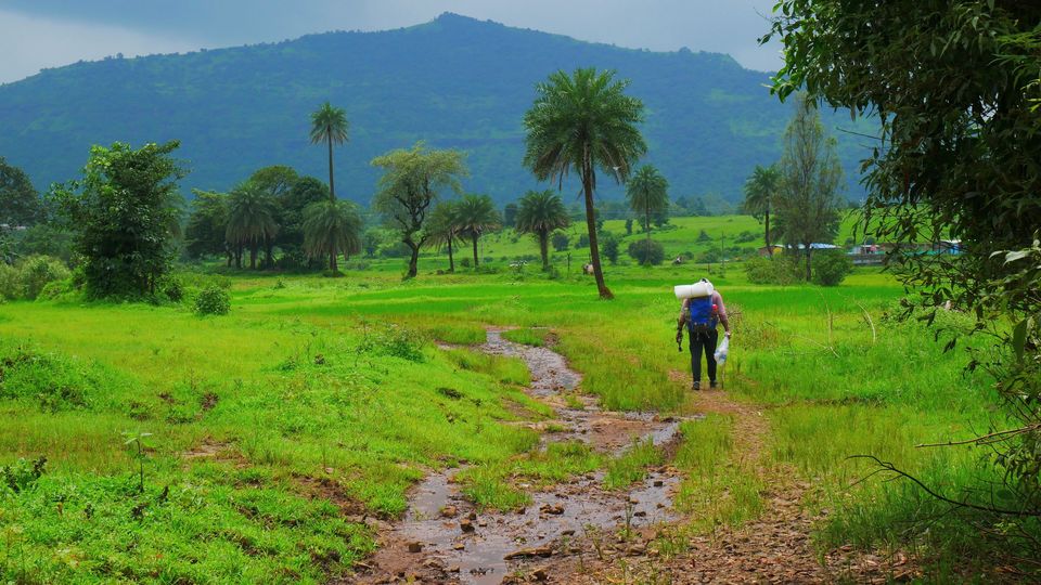 Photo of Thrilling Harihar Fort Trekking - Day 2/7 by MUhammed Unais P (TheIndianTrails)