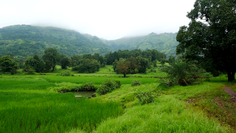 Photo of Harihar Fort | Maharashtra Monsoon Trek - Day 1/7 by MUhammed Unais P (TheIndianTrails)