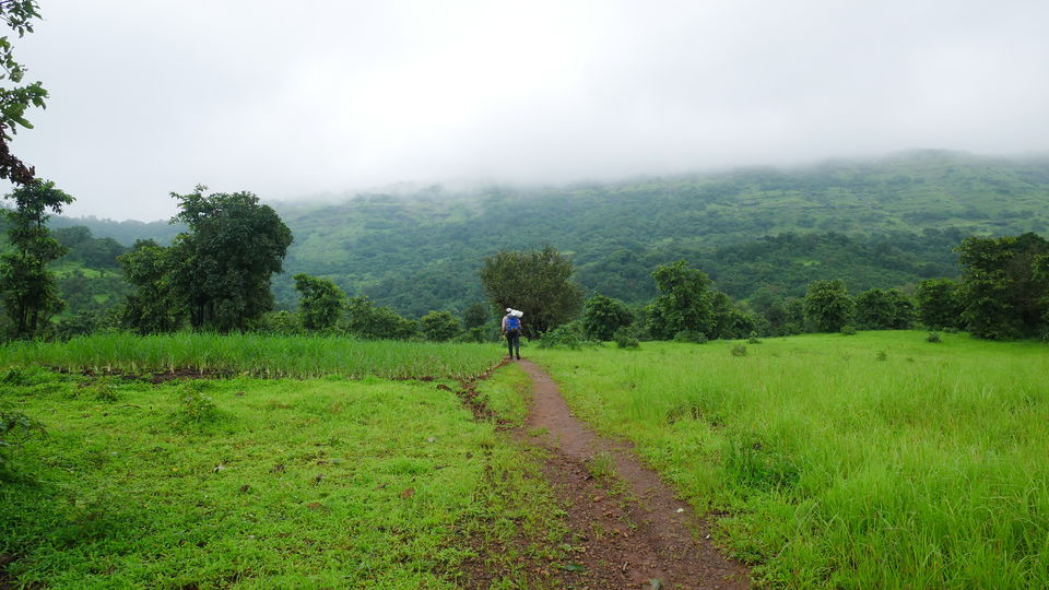 Photo of Harihar Fort | Maharashtra Monsoon Trek - Day 1/7 by MUhammed Unais P (TheIndianTrails)