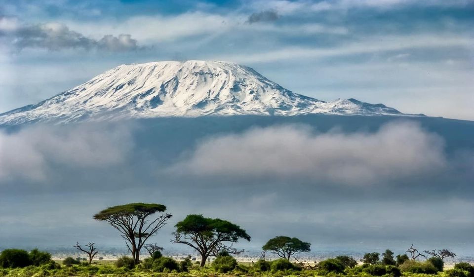Photo of This Indian Woman Climbed the Highest Peak of Africa Alone by Swati Singh