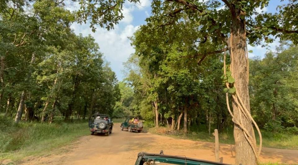 Photo of All About Bandhavgarh Tiger Reserve! by Swati Singh
