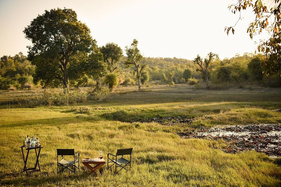 Photo of All About Bandhavgarh Tiger Reserve! by Swati Singh