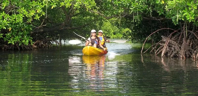 Photo of Mayabunder, North and Middle Andaman by Swati Singh