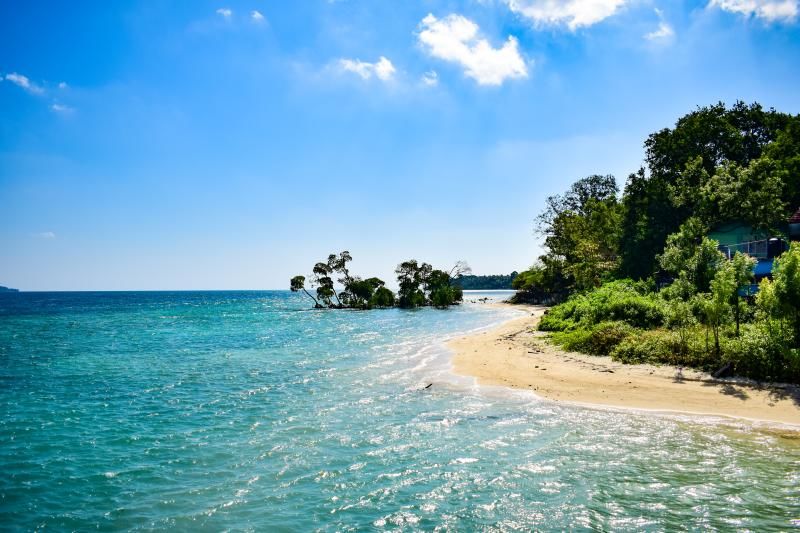 Photo of Things To Do In Neil Island by Swati Singh
