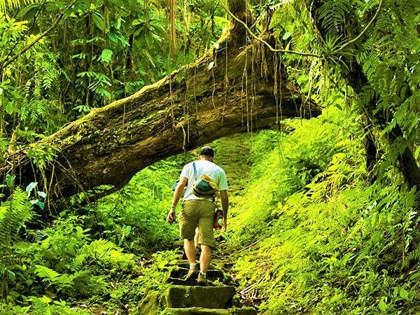 Photo of Things To Do In Neil Island by Swati Singh