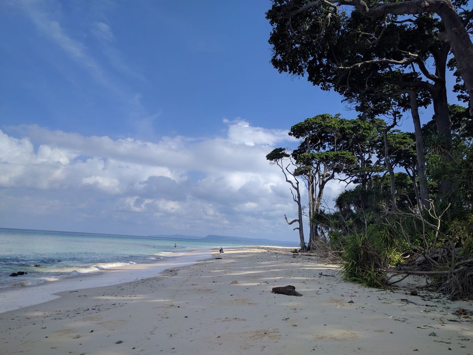 Photo of Things To Do In Neil Island by Swati Singh