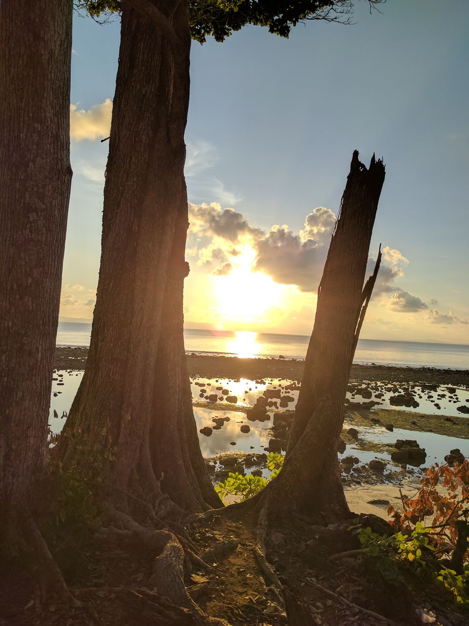 Photo of Things To Do In Neil Island by Swati Singh