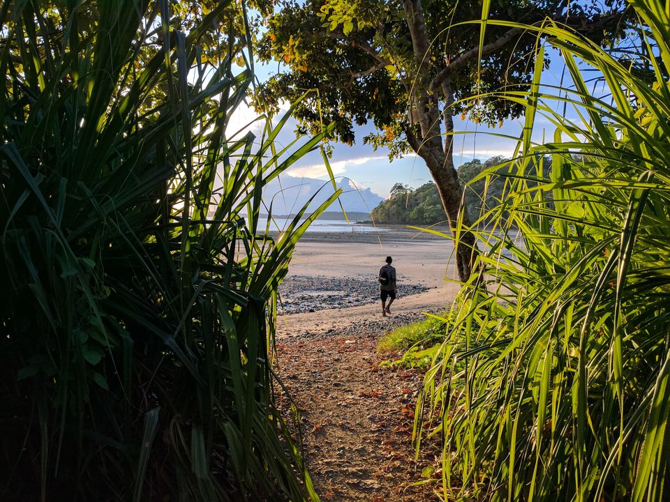 Photo of Chidiya Tapu Beach, Andaman by Swati Singh
