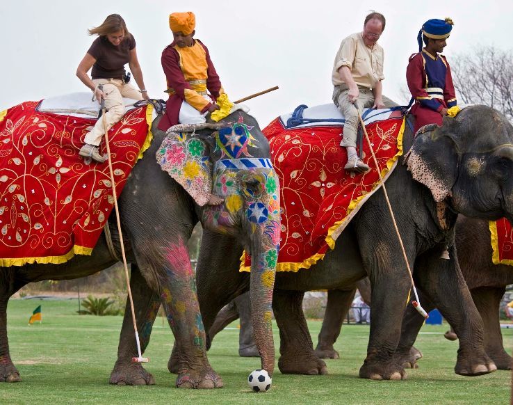 Photo of 5 Unmissable Experience You Must Have at this Year’s Alwar Festival by Swati Singh
